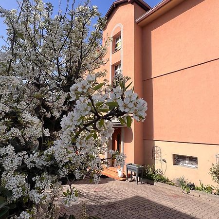 T3 + Veranda A Strasbourg Estrasburgo Exterior foto