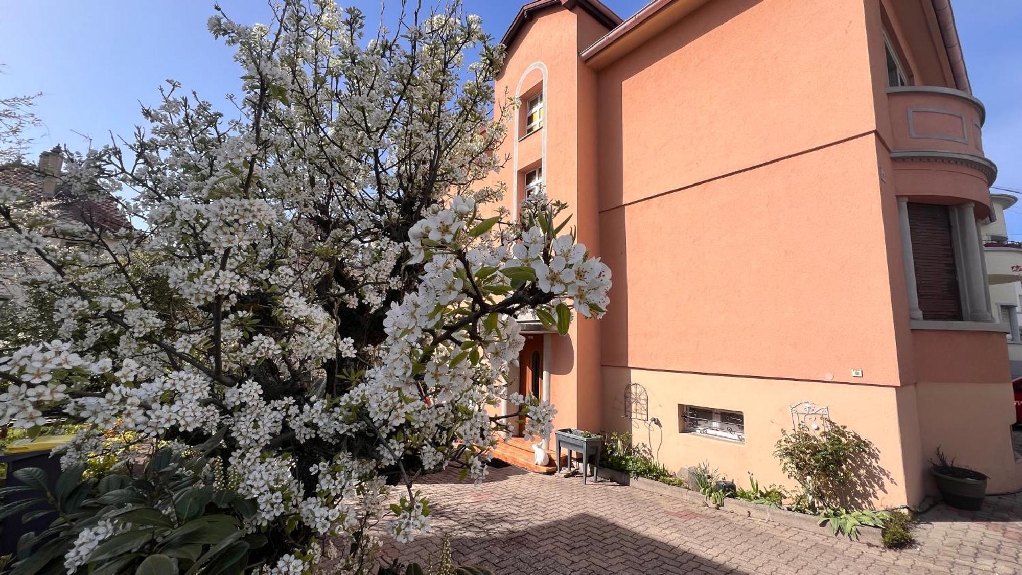 T3 + Veranda A Strasbourg Estrasburgo Exterior foto